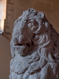Donatello,  Marzocco Lion, Bargello Museum in Florence