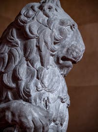 Donatello,  Marzocco Lion, Bargello Museum in Florence